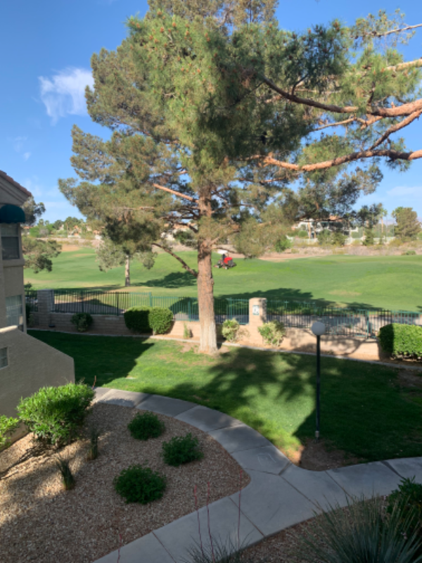 2251 Wigwam Pkwy #1721