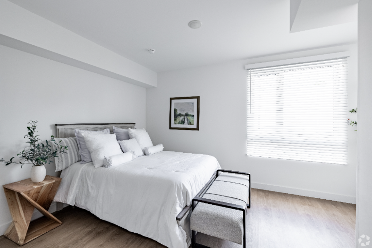 The Brightly - Photo 3 of 50