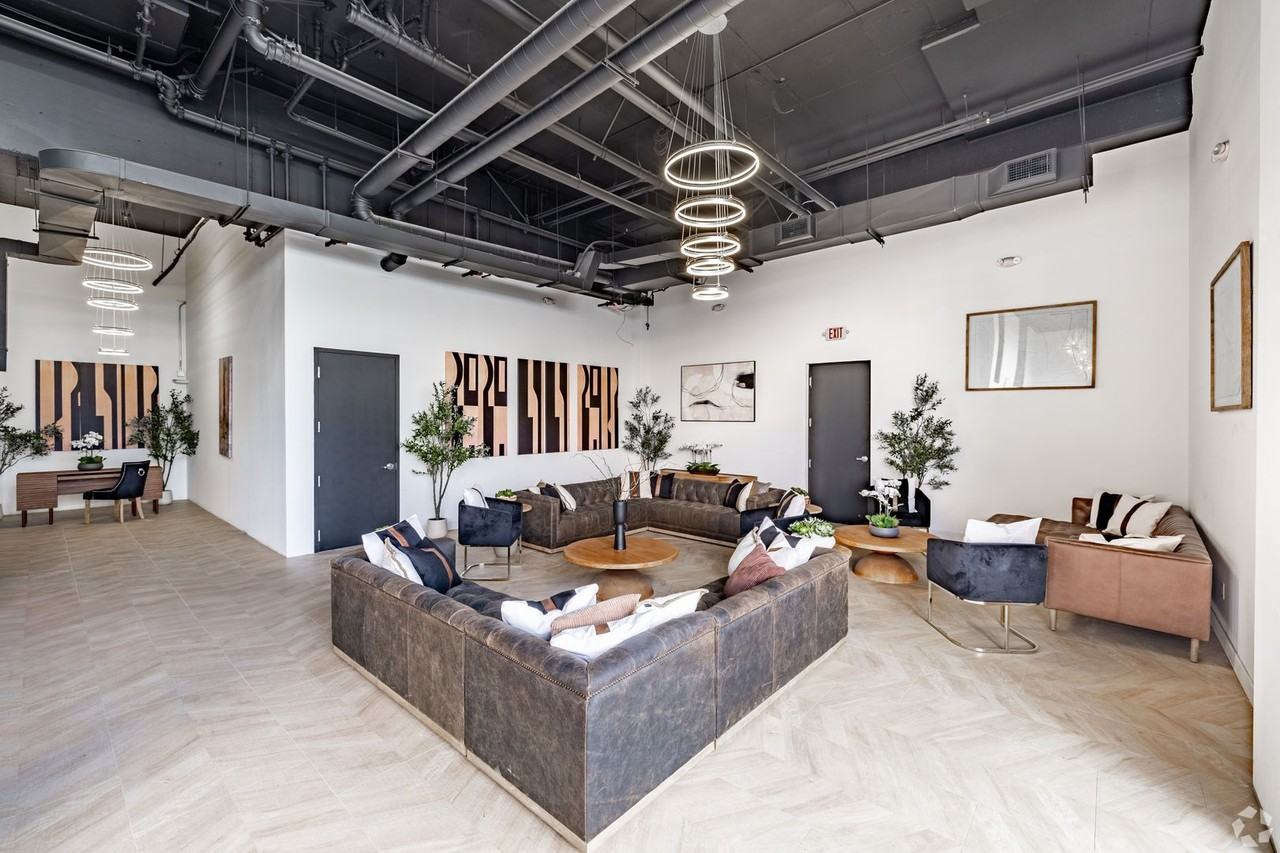 The Brightly - Photo 5 of 50