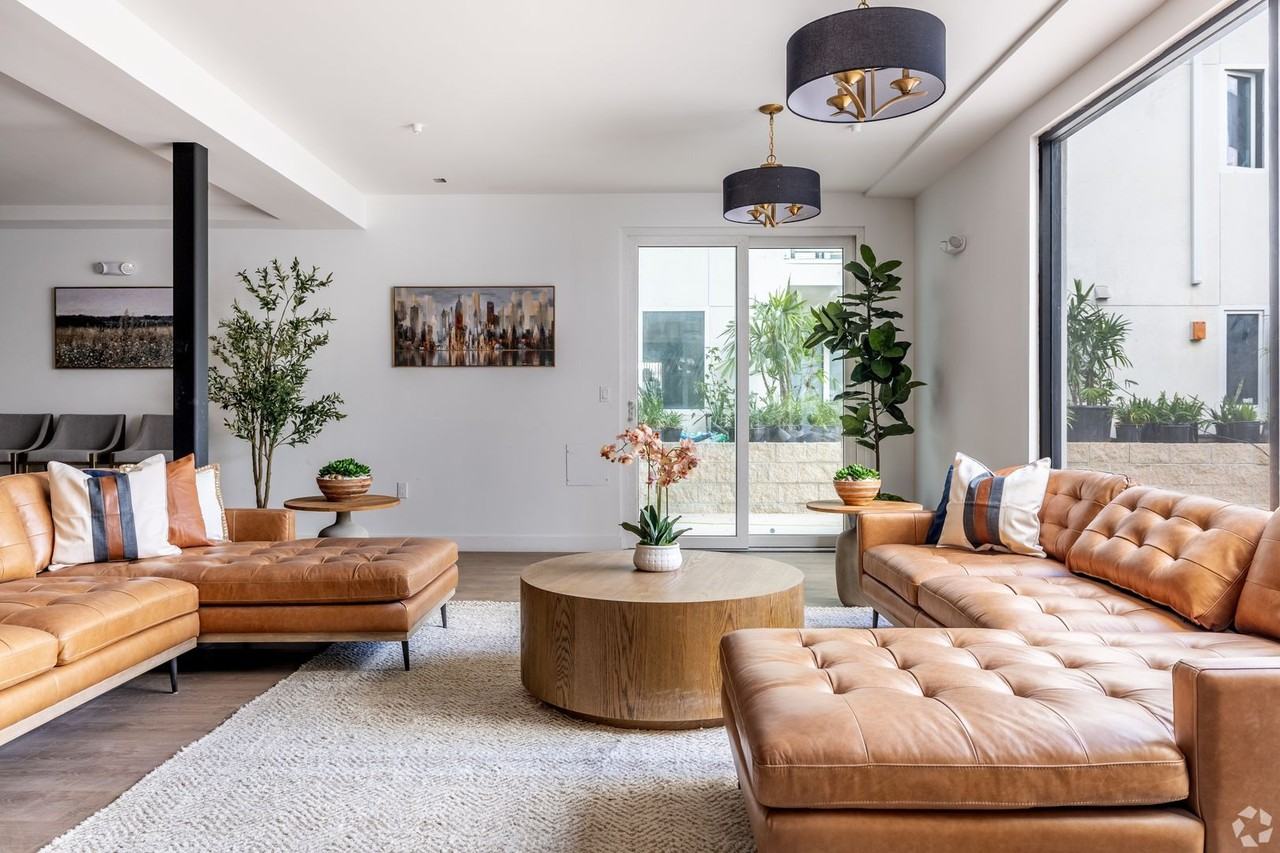 The Brightly - Photo 7 of 50