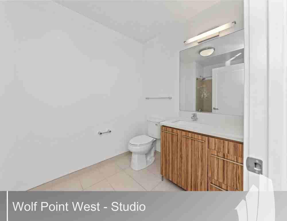 343 W Wolf Point Plz - Photo 3 of 10