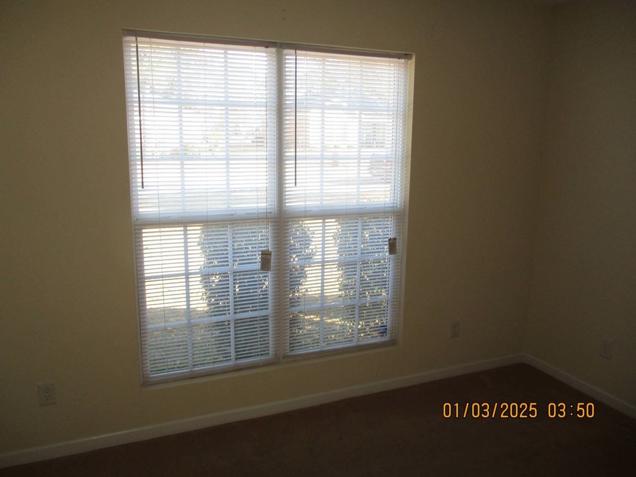 207 Glade Ln - Photo 4 of 6