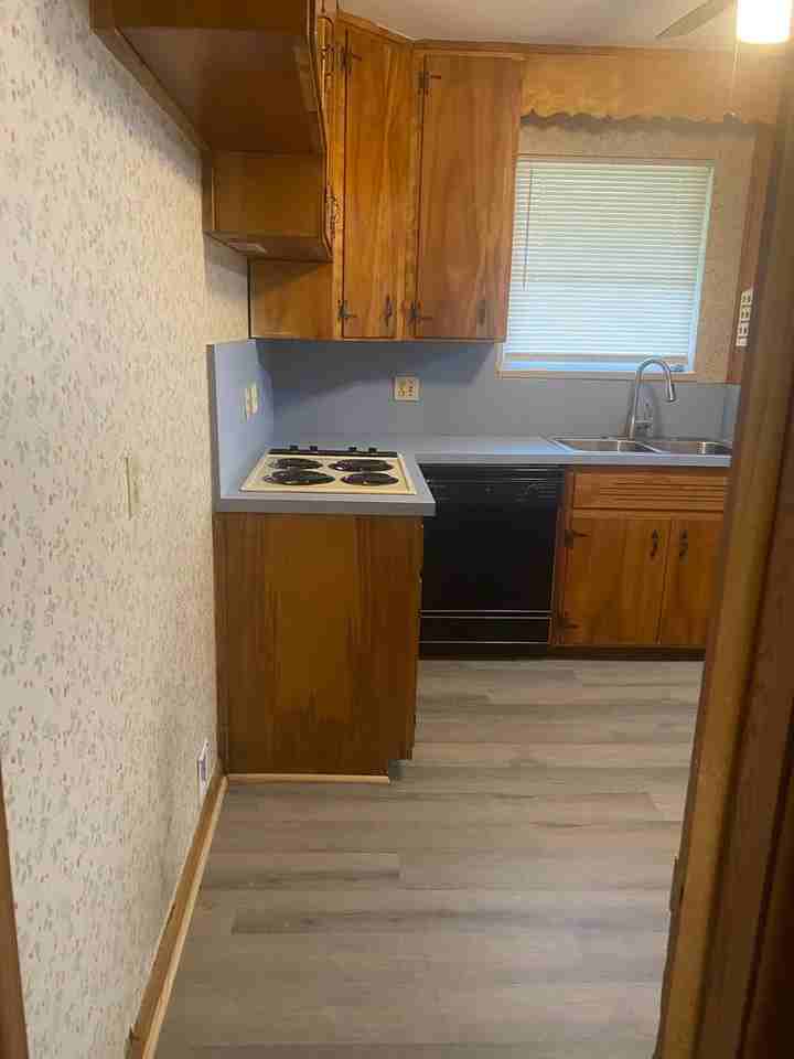 2328 Caladium Rd - Photo 7 of 15