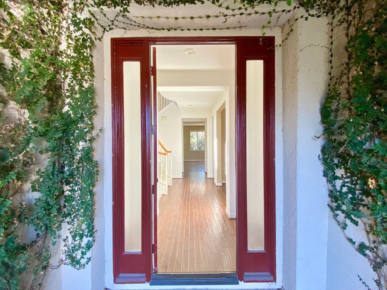 4664 Calle San Juan - Photo 3 of 33