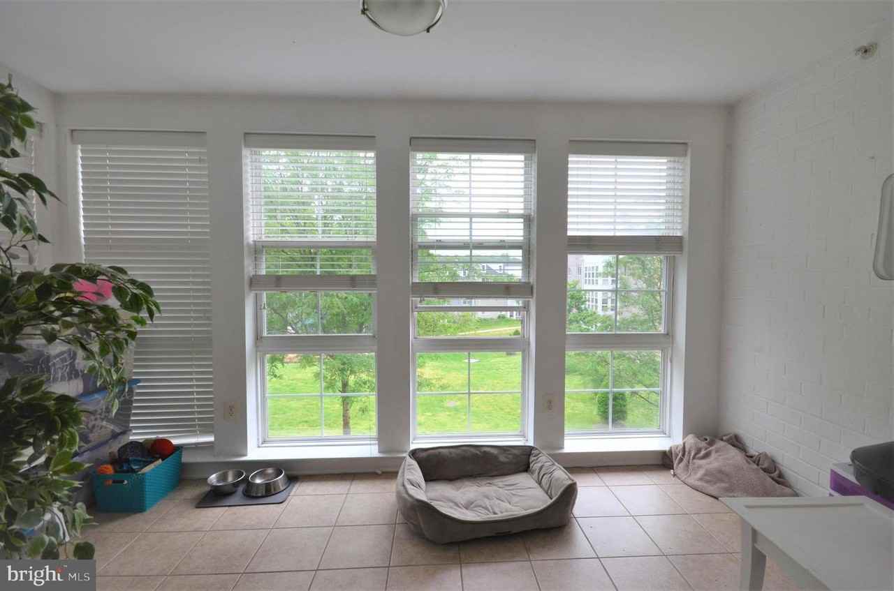 4177 S Four Mile Run Dr #1 - Photo 2 of 18