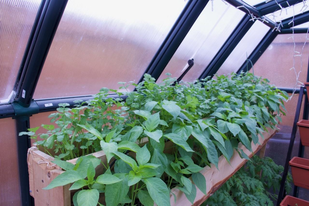 1355 Demers Ave - Photo 2 of 46