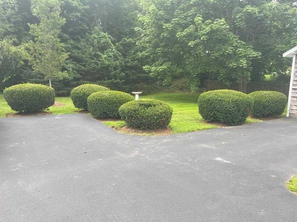 74 Standish Ave - Photo 4 of 14