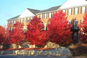 featured image of 145 North Ave