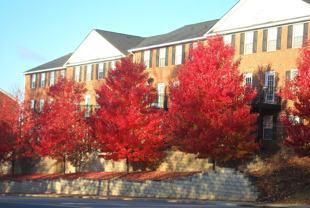 Stonecrest - Photo 1 of 1