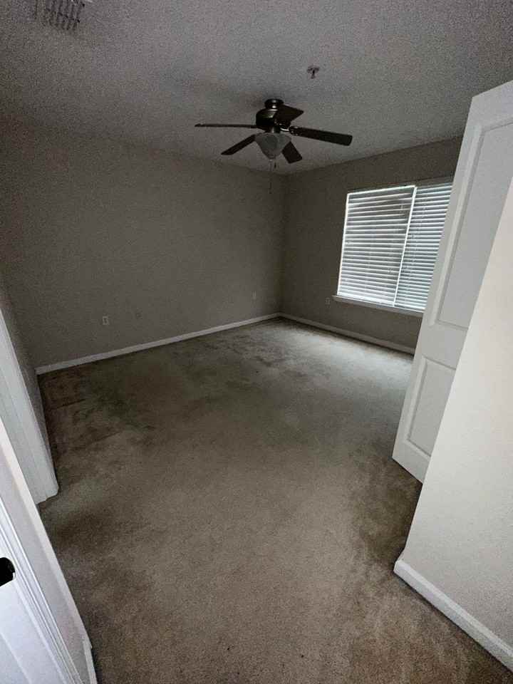 Lexington Woods - Photo 5 of 21