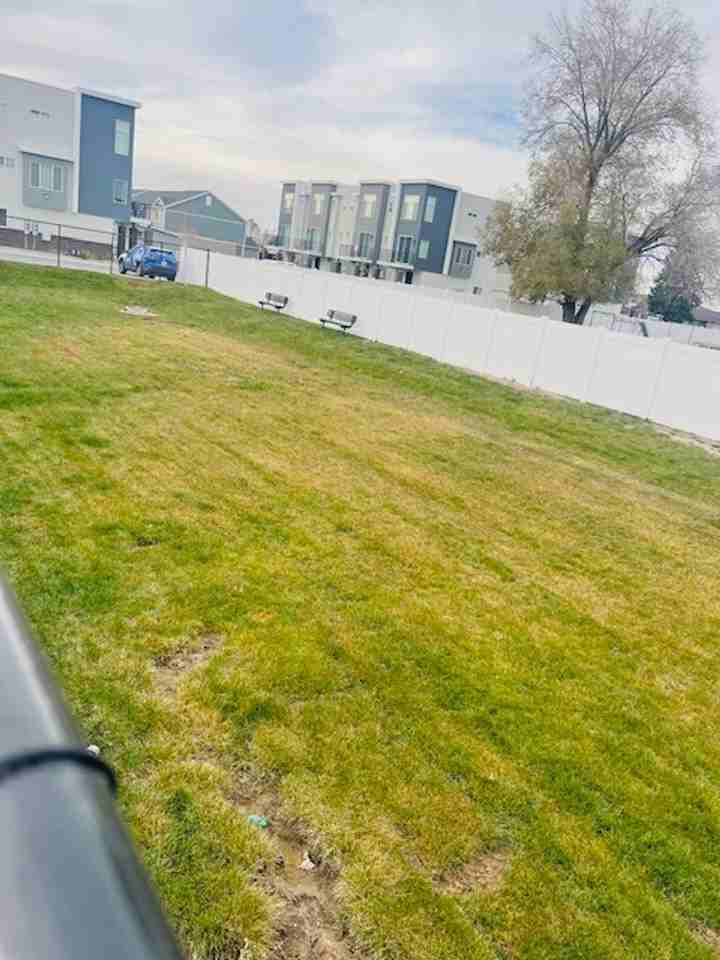 2349 W Leigh Ln - Photo 7 of 33