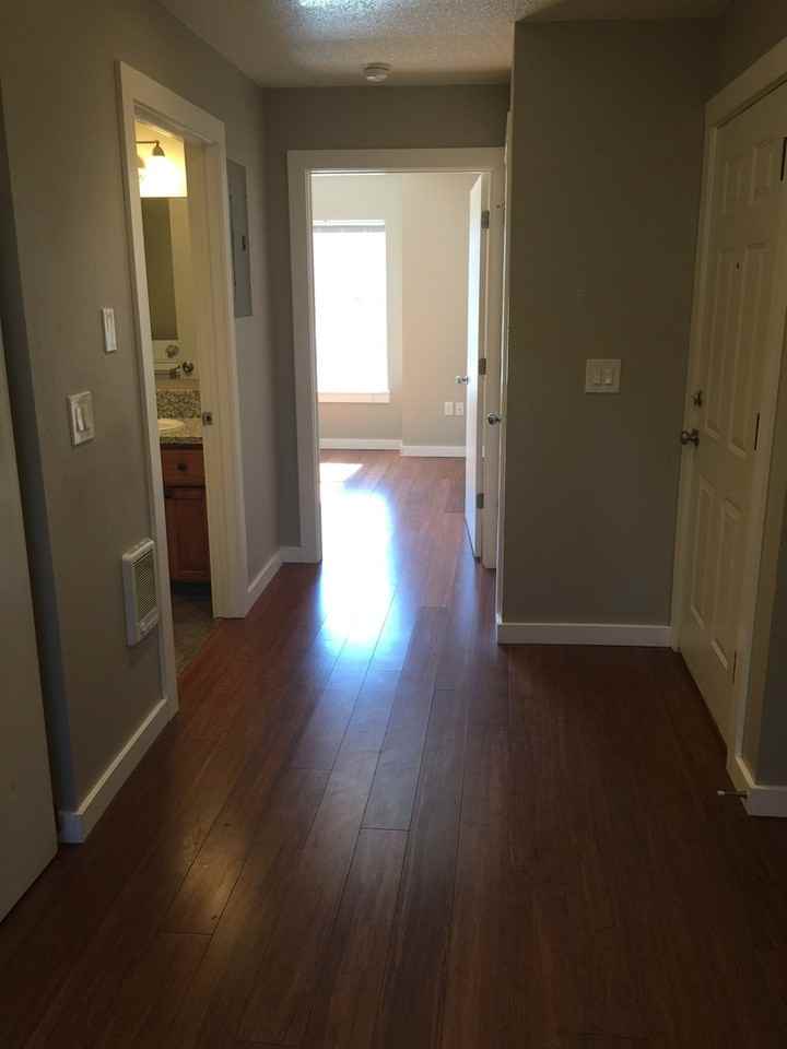 3911 Se Mall St Apt 1c #1C - Photo 6 of 30