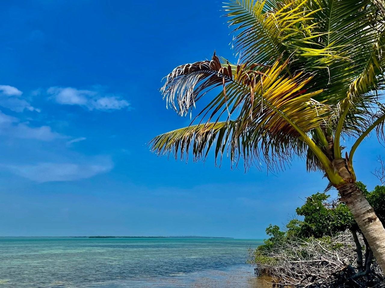 55 Boca Chica Road - Photo 3 of 25