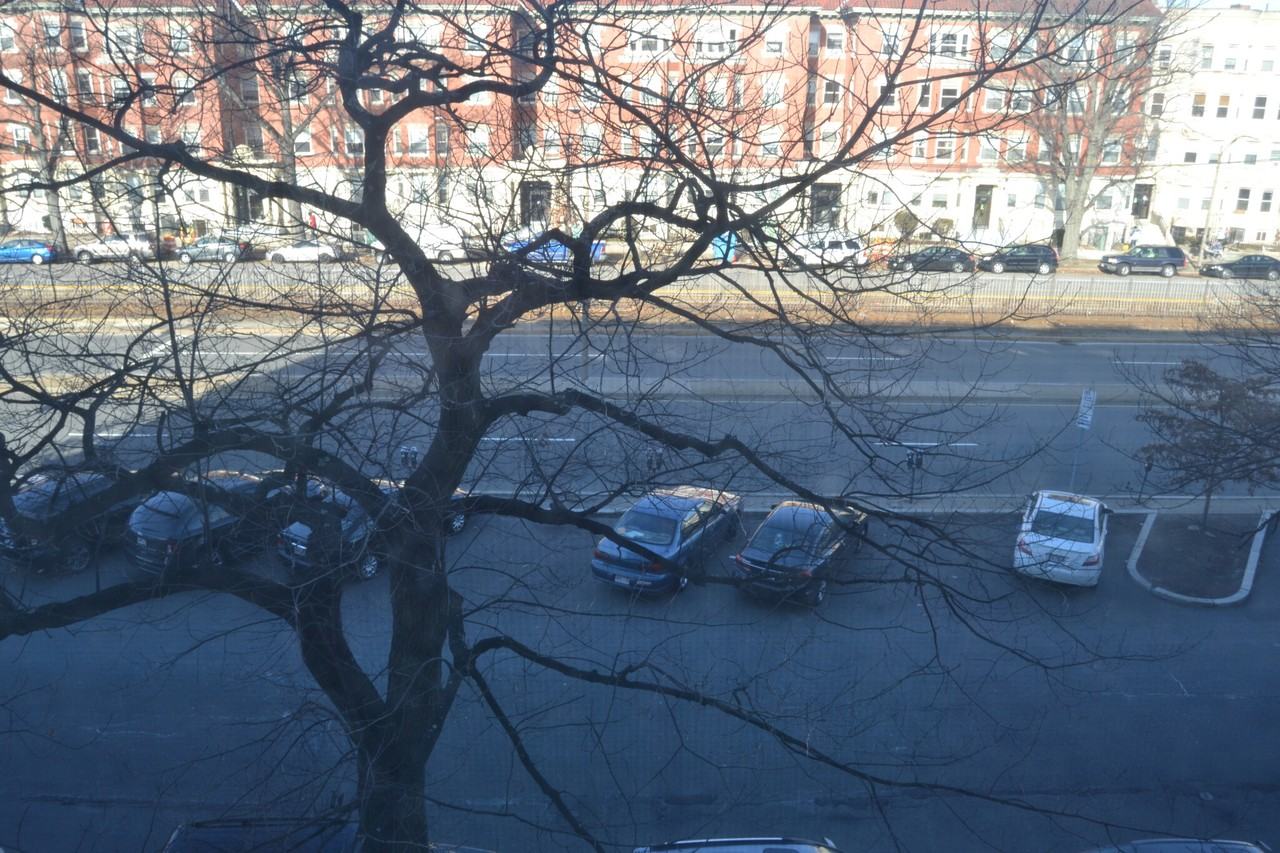 1298 Commonwealth Ave #23 - Photo 4 of 17