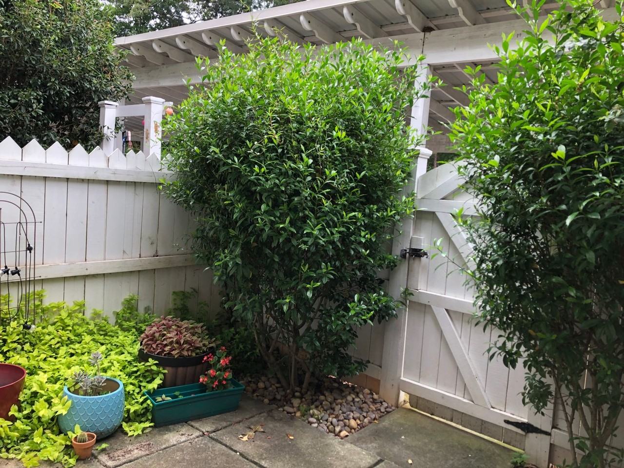 110 Wood Lake Dr - Photo 2 of 12