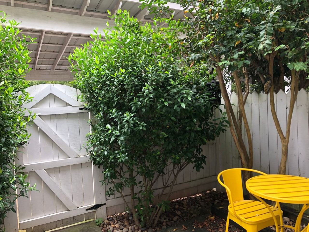 110 Wood Lake Dr - Photo 3 of 12