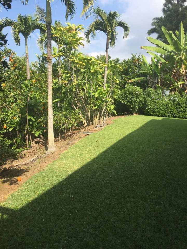 76-6017 Mamalahoa Hwy - Photo 7 of 8