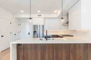 The Vine (1723) - Photo 1 of 1