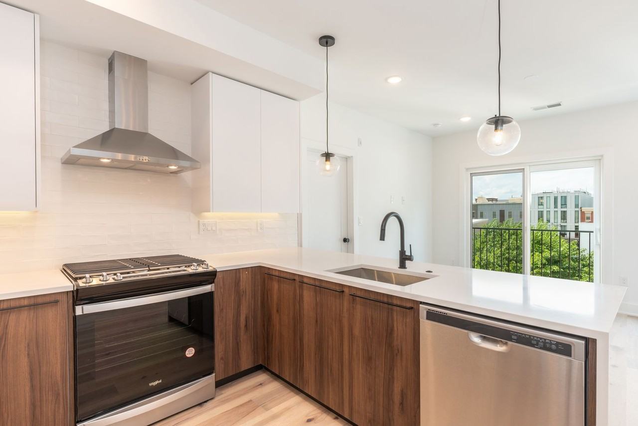 The Vine (1723) - Photo 3 of 28