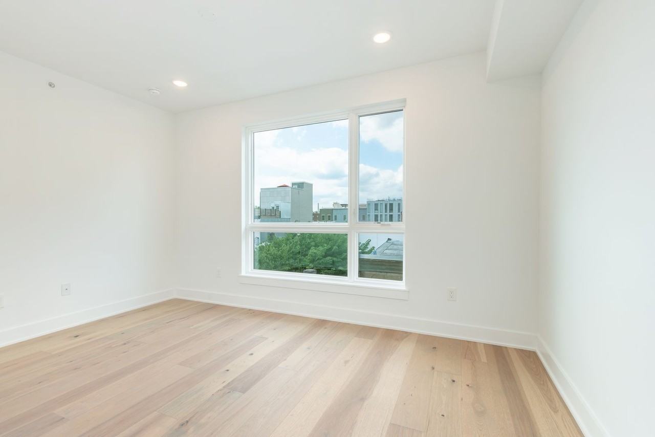 The Vine (1723) - Photo 7 of 28