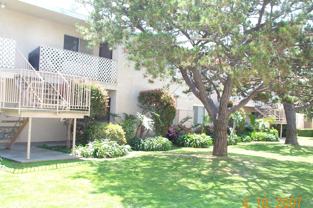 hb519 - Photo 1 of 1