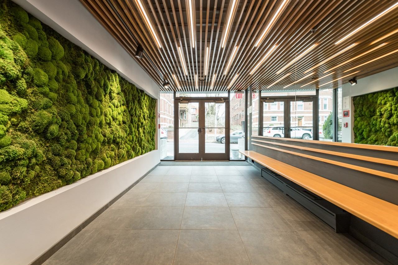 337 Harvard St #B7 - Photo 7 of 14