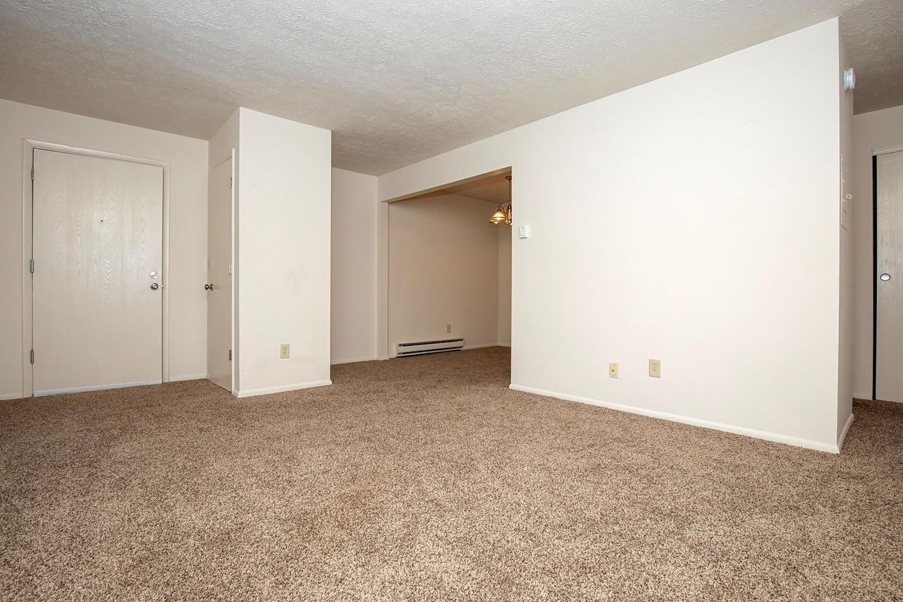 Allen Creek - Photo 4 of 34