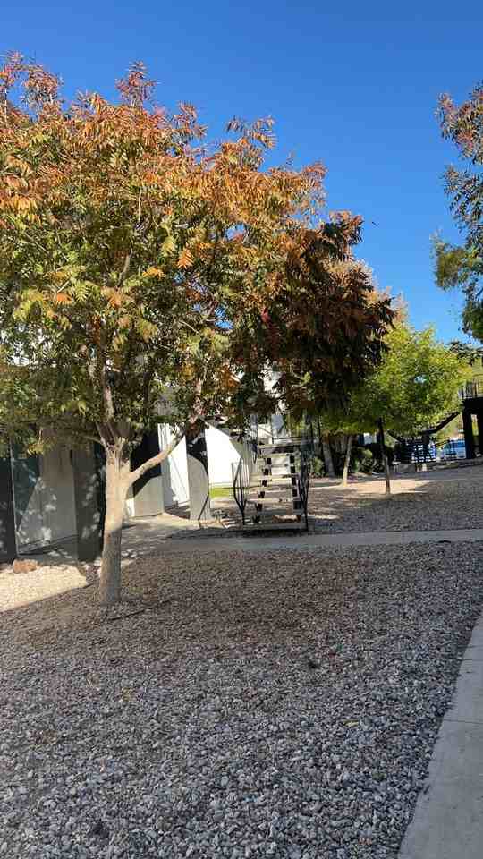 The Quails Apartments - Photo 3 of 31