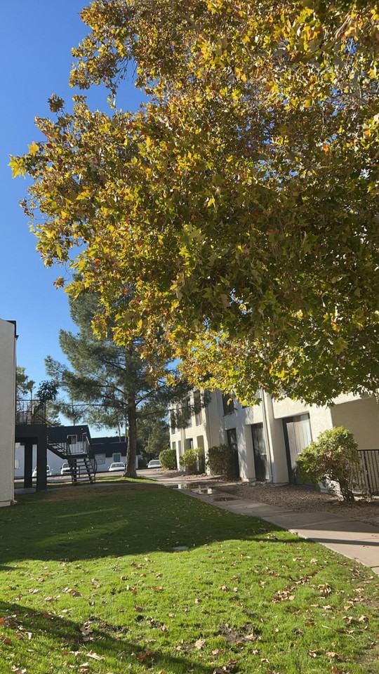 The Quails Apartments - Photo 4 of 31