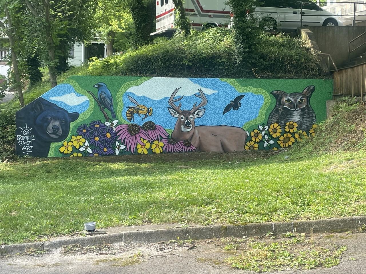 Hidden Ridge Apartments - Photo 5 of 34