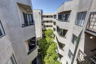 The Ivy Apartments - Photo 1 of 1