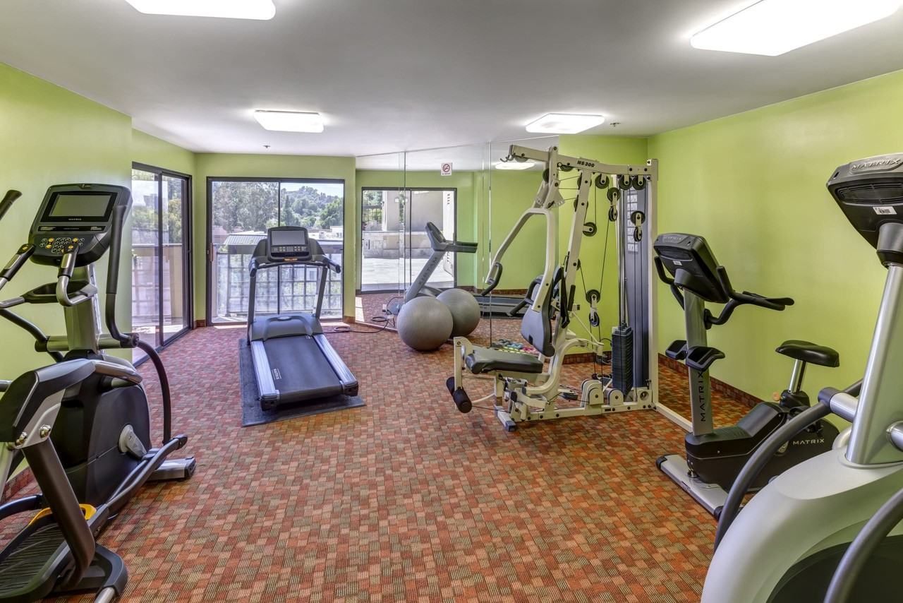 The Ivy Apartments - Photo 6 of 34