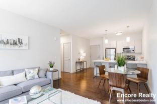 45 Marion St #206 - Photo 1 of 1