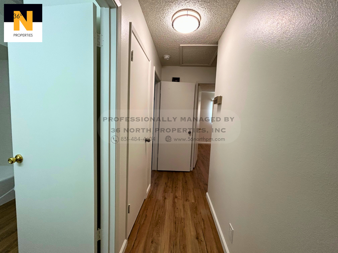 551 De Leon Dr - Photo 7 of 13