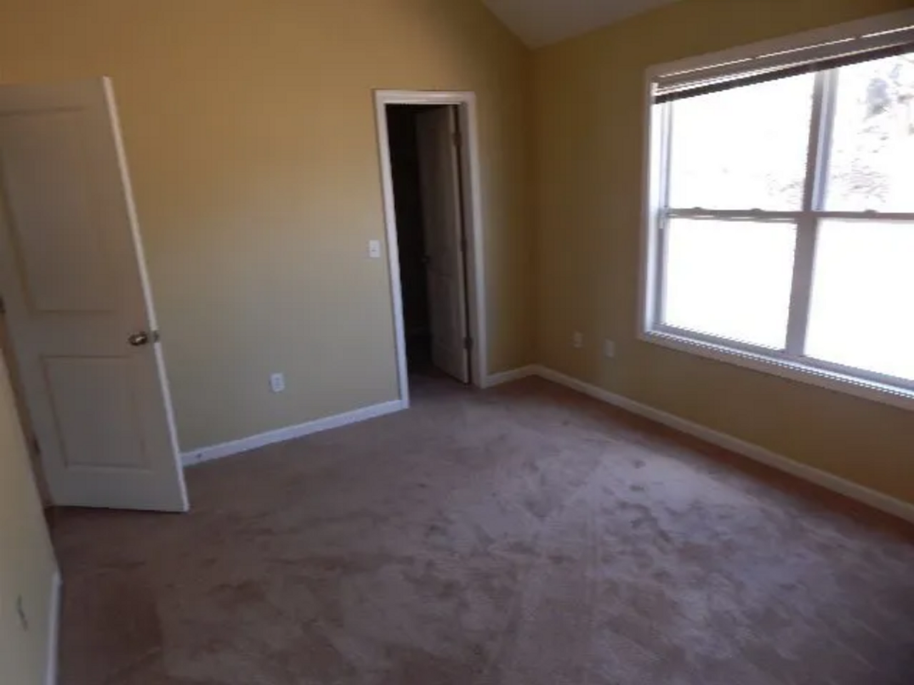 301 Countryview Cv - Photo 7 of 7