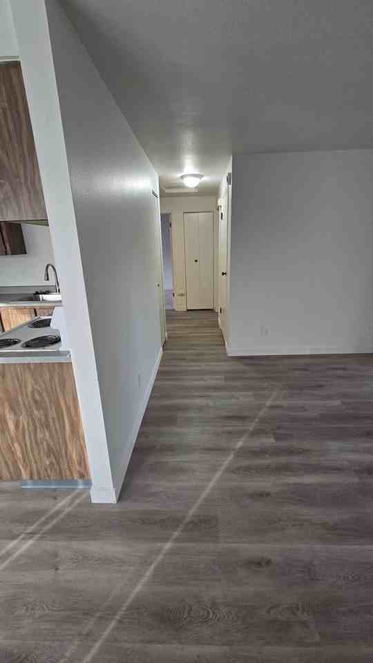 Driscoll Properties - Photo 2 of 47