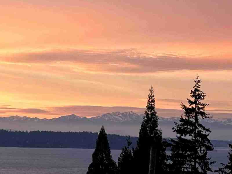 15823 23rd Ave Sw - Photo 2 of 45