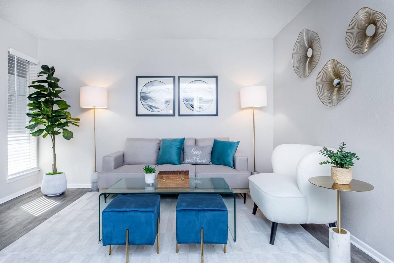 Tree Top - Photo 7 of 50