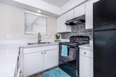 Tree Top - Photo 1 of 1