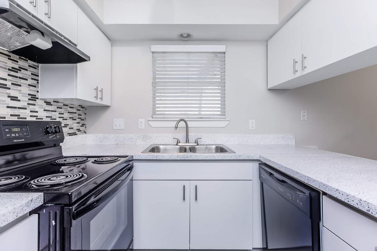 Tree Top - Photo 2 of 50