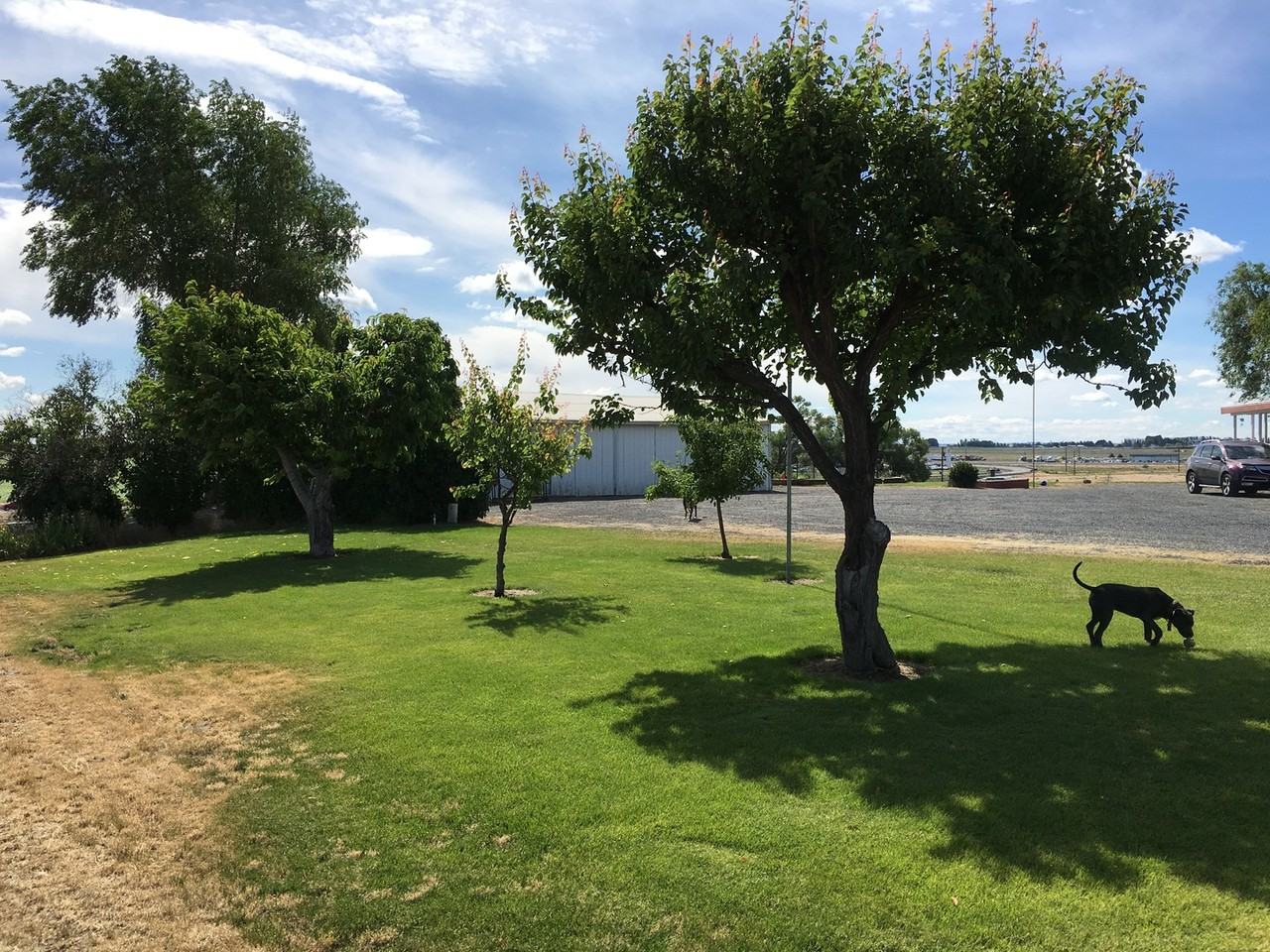 1079 8th Ave - Photo 3 of 26