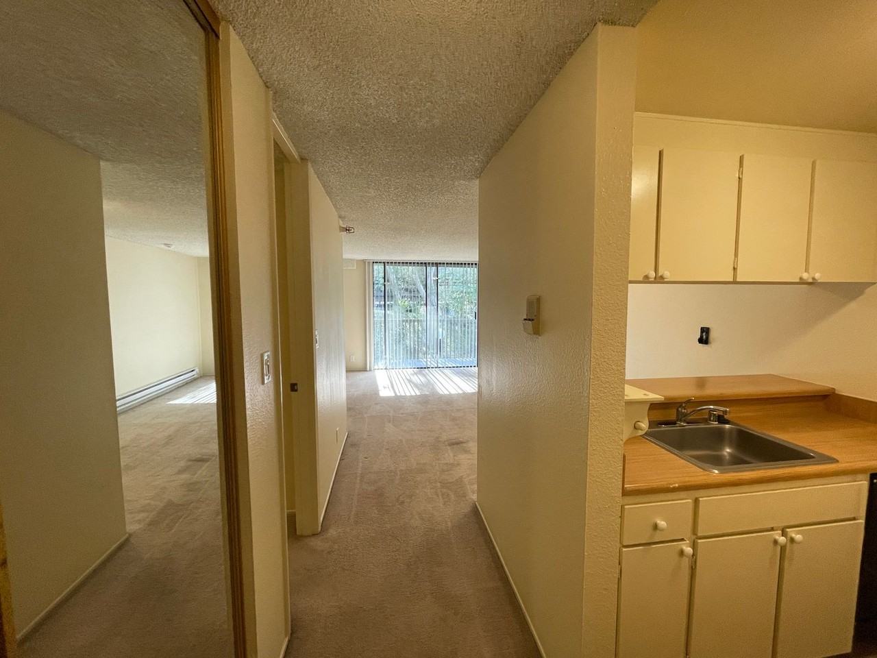 5221 Shelter Creek Ln - Photo 2 of 8