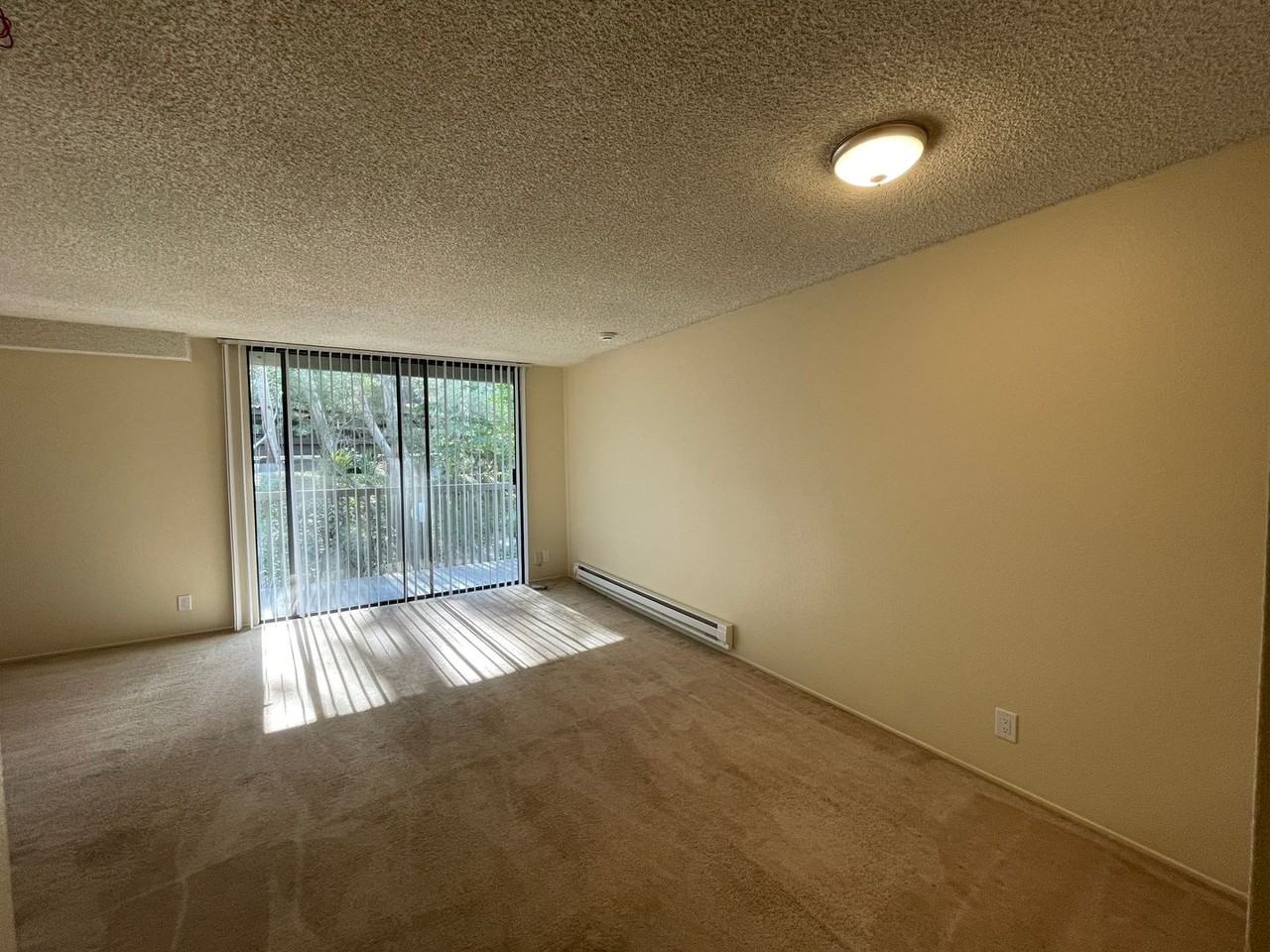 5221 Shelter Creek Ln - Photo 3 of 8