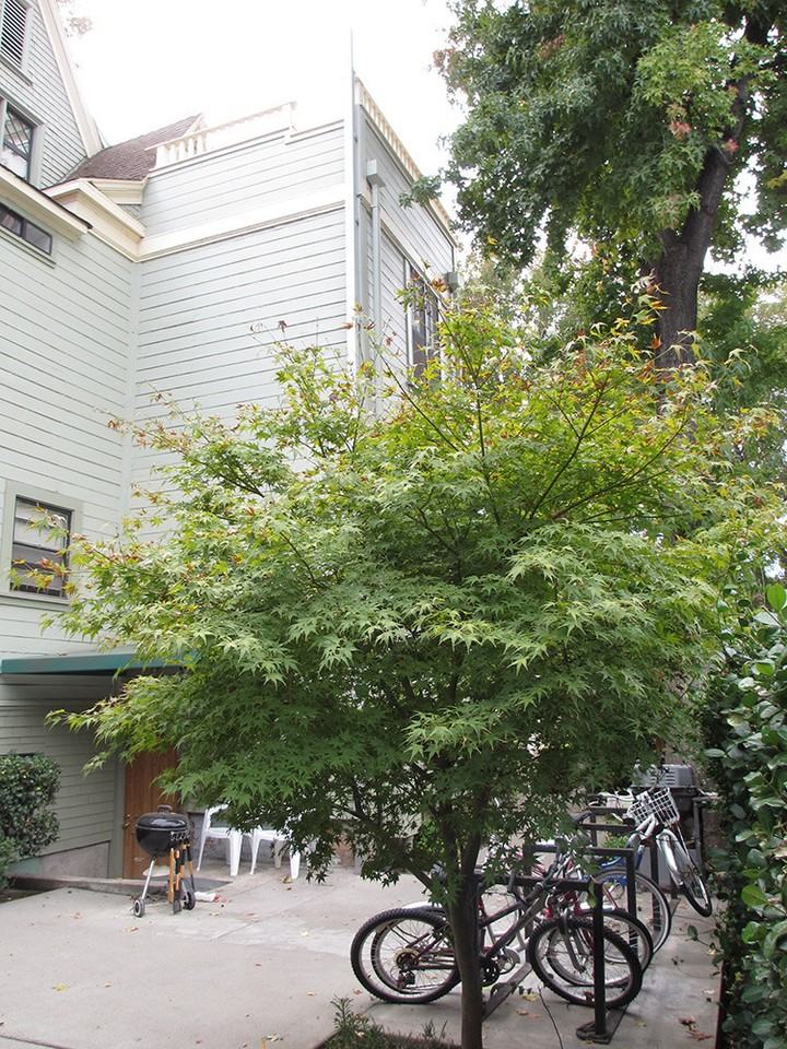 512 W 3rd St - Photo 4 of 31