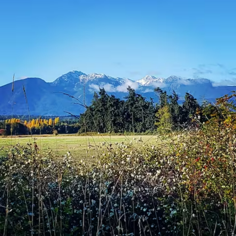 20 Linderman Rd - Photo 3 of 18