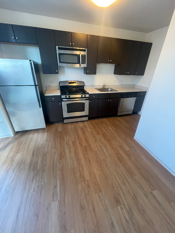 331 W Wacker Dr - Photo 3 of 12