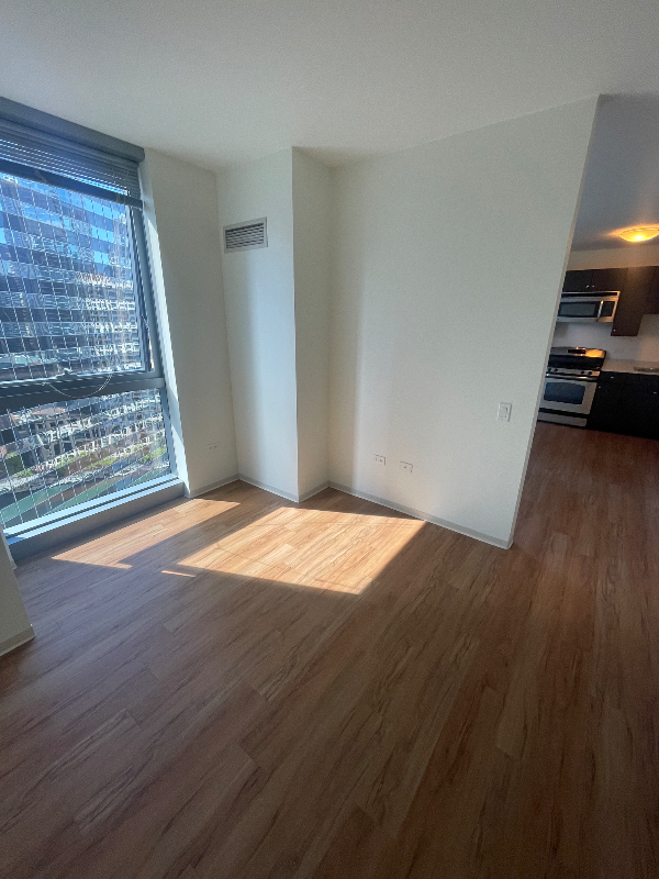 331 W Wacker Dr - Photo 7 of 12