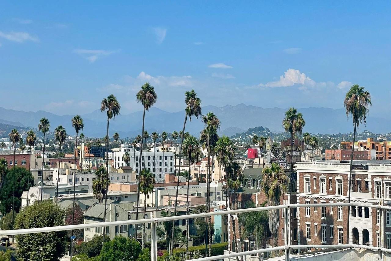 634 S Gramercy Pl #708 - Photo 7 of 17