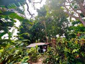 81-6467 Mamalahoa Hwy - Photo 1 of 1