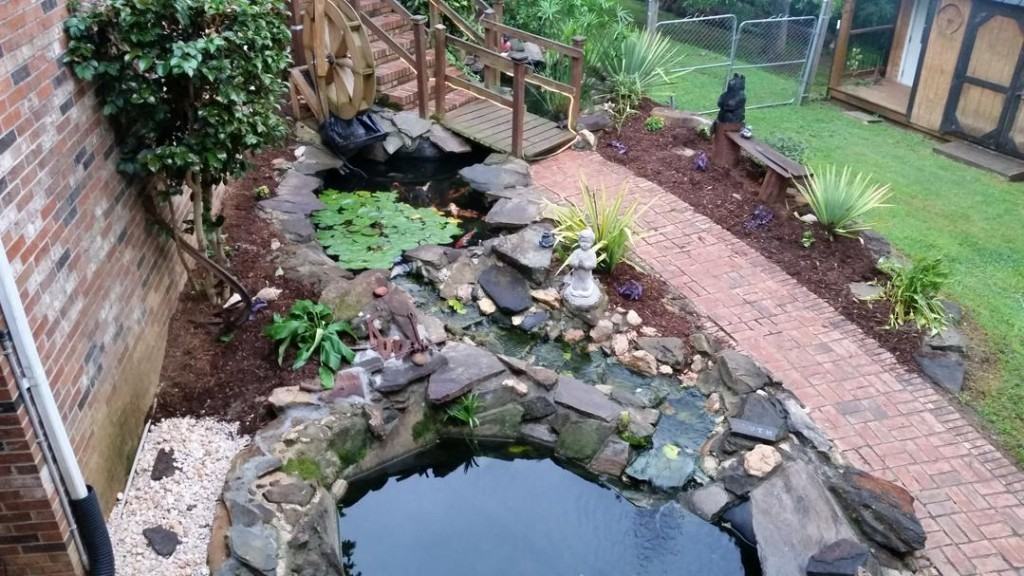 3644 Walhalla Hwy - Photo 2 of 39